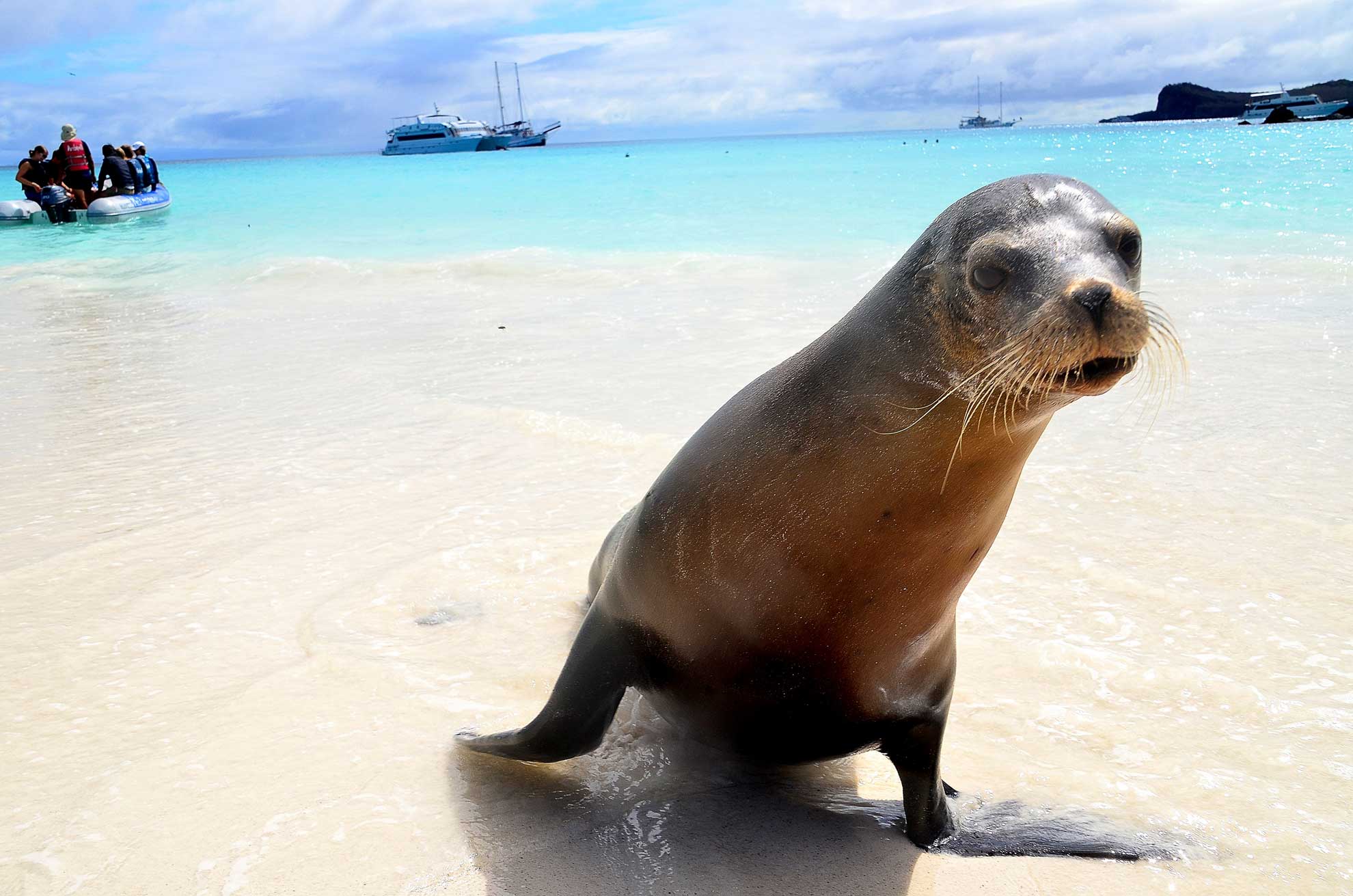 Galapagos